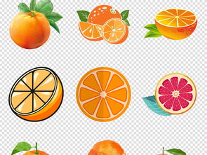 卡通手绘橘子 为你的生活与工作增添一抹清新活力