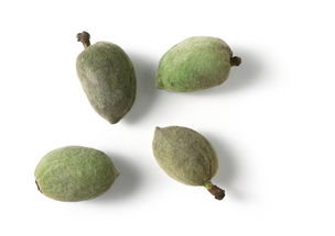 新鲜水果高清图片素材 美食视觉盛宴与设计灵感宝库