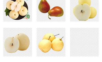 新鲜水果素材宝库 鸭梨雪梨香梨免扣PNG海报模板全解析