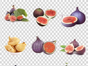 无花果的多维妙用 从鲜果到年货营养干货的生命演化